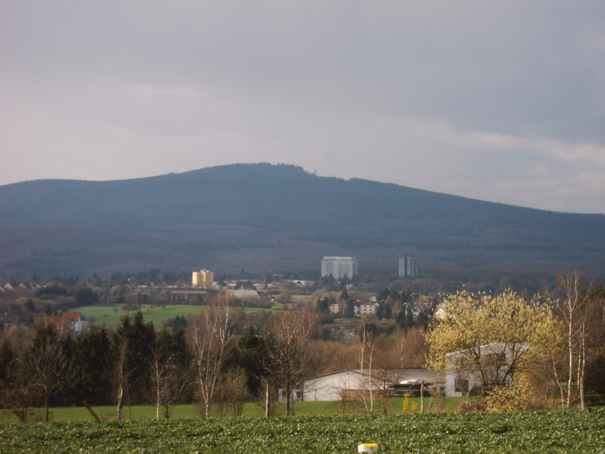 Blick auf den Altk�nig