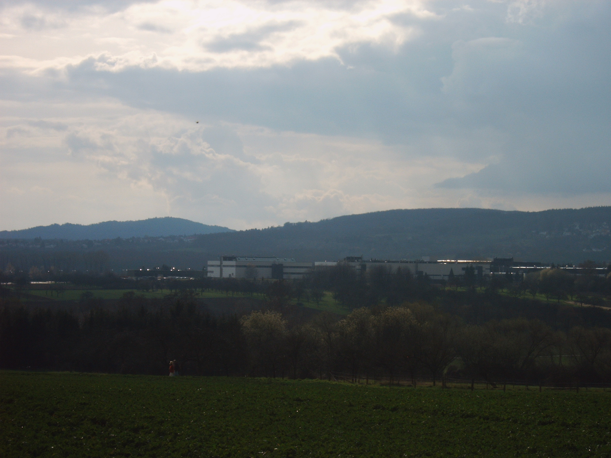 Firma Braun in Kronberg S�d